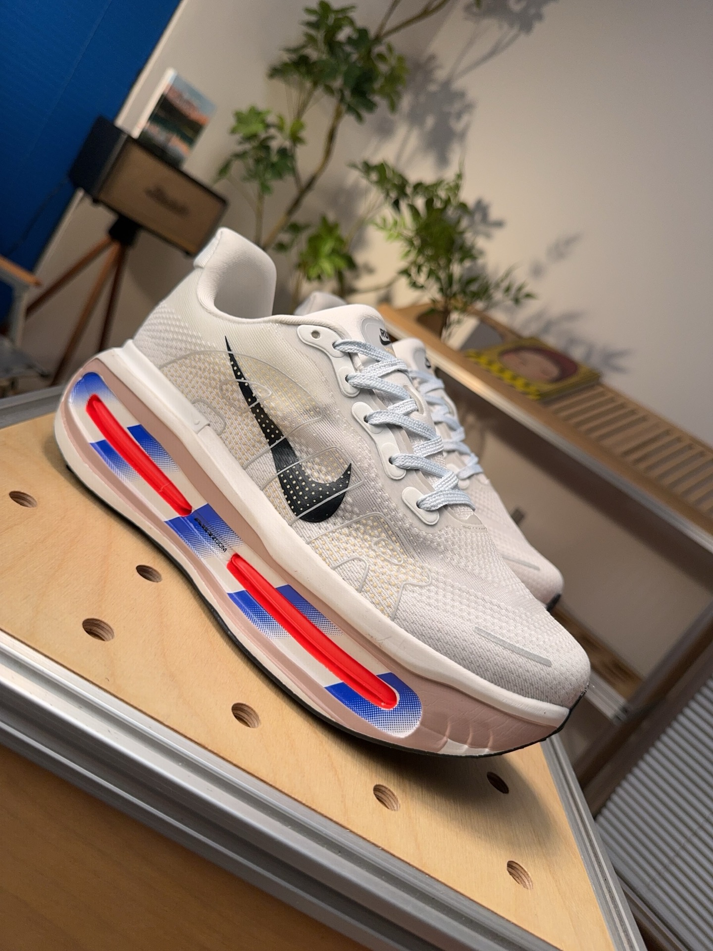 Nike Jordan